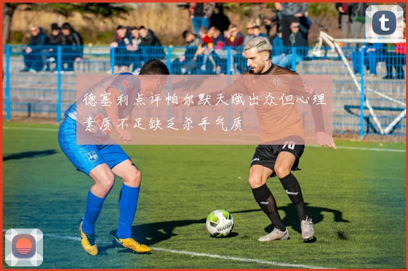 德塞利点评帕尔默天赋出众但心理素质不足缺乏杀手气质